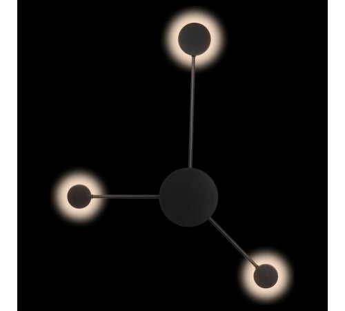 Накладной светильник Loft it 10059BK Rays