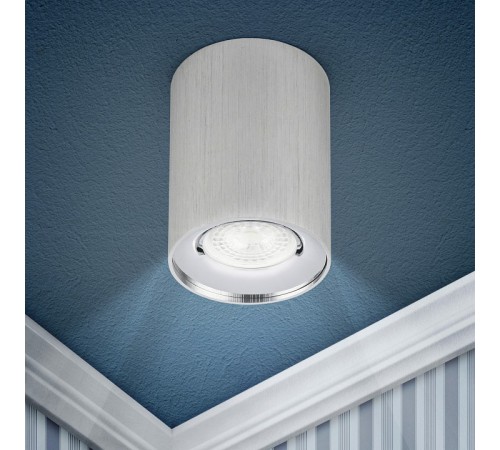 Накладной светильник Эра OL1 GU10 SL/CH