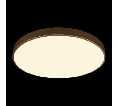 Накладной светильник Loft it 10228/B Flims