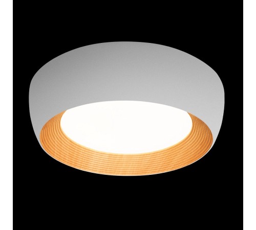 Накладной светильник Loft it 10255/500 White Folk