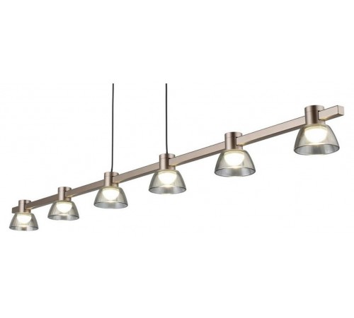 Подвесной светильник Aployt APL.788.03.06 Rezeda