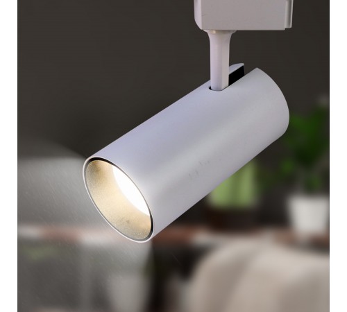 Светильник на штанге Эра TR5-30 COB WH