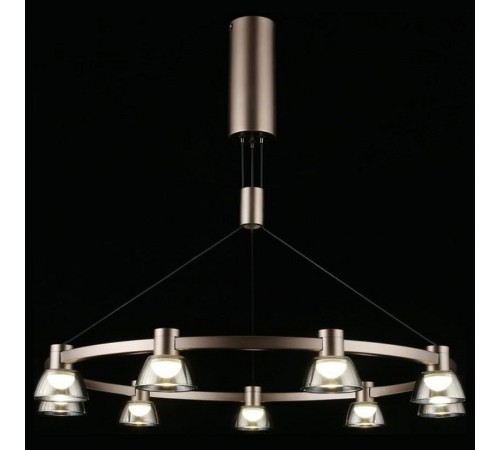 Подвесная люстра Aployt APL.788.03.09 Rezeda