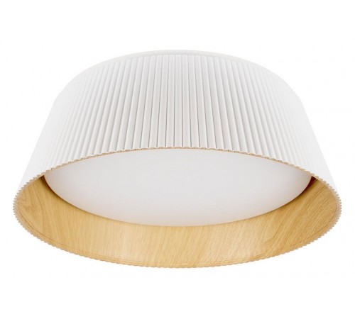 Накладной светильник Loft it 10224 White Evans