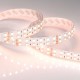 Лента светодиодная Arlight 018144(3) RT открытая