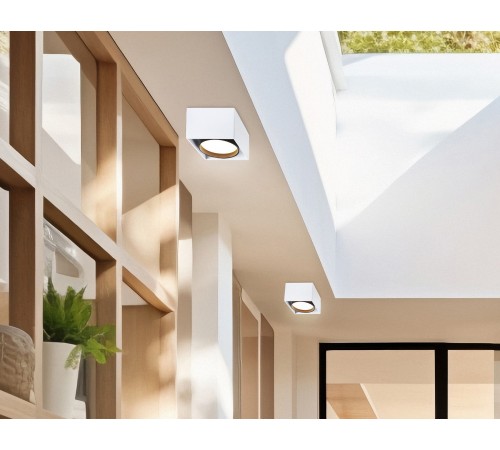 Накладной светильник Ambrella Light TN70865 TN