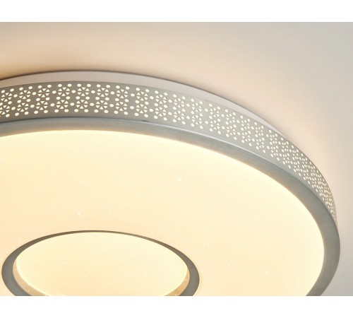 Накладной светильник Ambrella Light FF82 FF