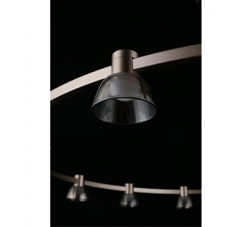 Подвесная люстра Aployt APL.788.03.15 Rezeda