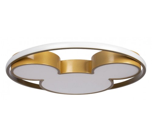 Накладной светильник Loft it 10168 Mike