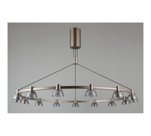 Подвесная люстра Aployt APL.788.03.15 Rezeda