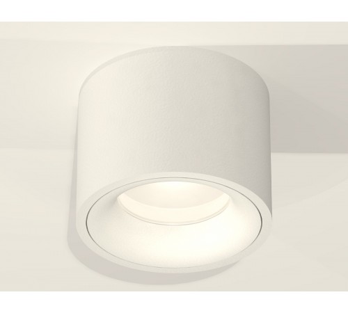 Накладной светильник Ambrella Light XS7510020 XS