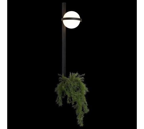 Бра Loft it 10121W/B Jardin