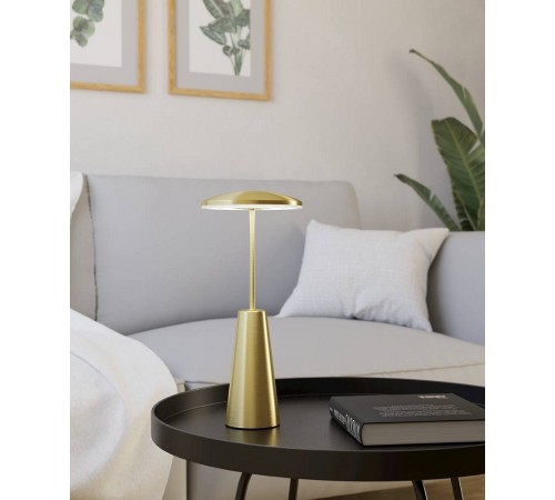 Настольная лампа декоративная Eglo 900923 PICCOLA