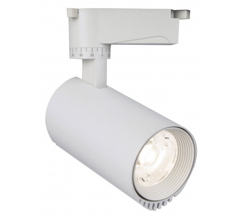 Светильник на штанге Escada 20031TRA/01LED SWH 20031