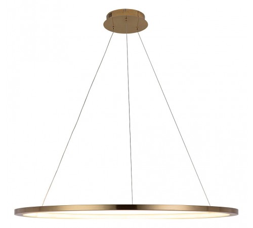 Подвесной светильник Loft it 10014XL Ring