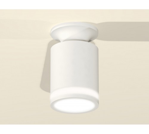 Накладной светильник Ambrella Light XS6301106 XS