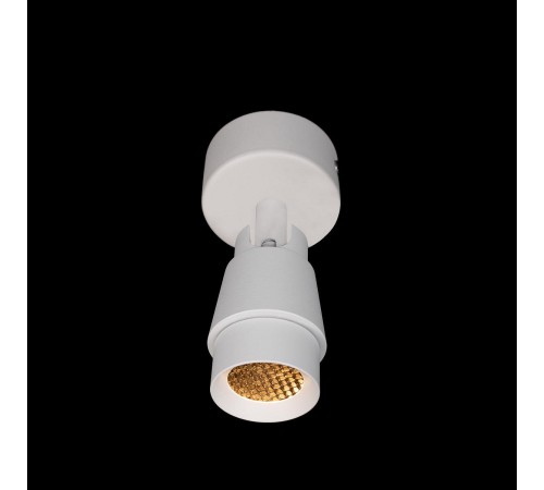 Спот Loft it 10330/A White Comb