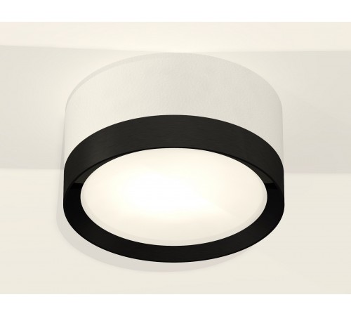 Накладной светильник Ambrella Light XS8101002 XS