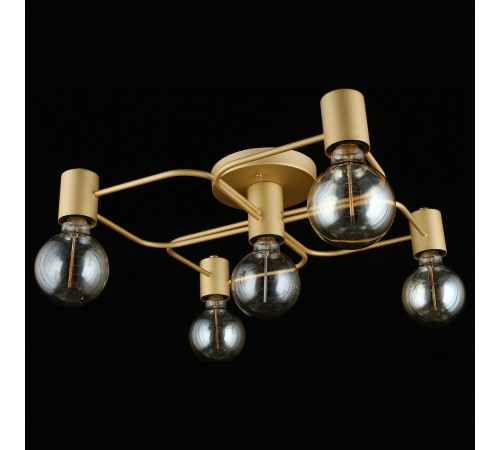 Потолочная люстра Aployt APL.911.07.05 Elison