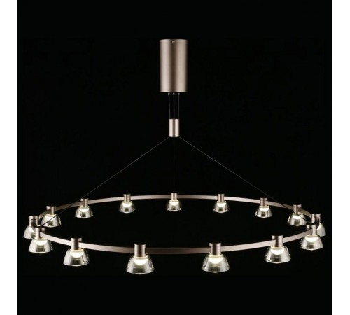 Подвесная люстра Aployt APL.788.03.15 Rezeda