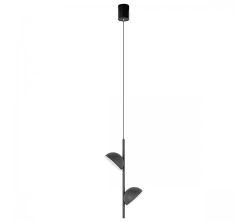 Подвесной светильник Loft it 10335 Black Mons