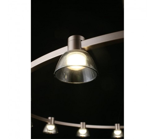 Подвесная люстра Aployt APL.788.03.15 Rezeda