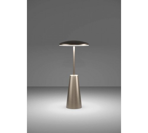 Настольная лампа декоративная Eglo 900924 PICCOLA