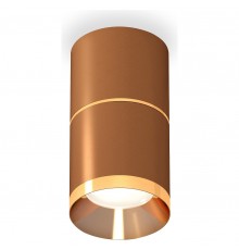 Накладной светильник Ambrella Light XS7404061 XS