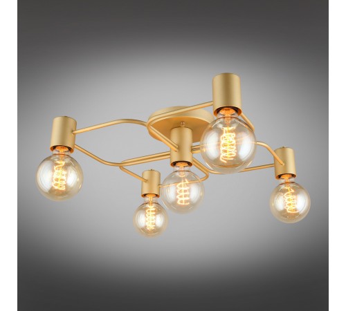 Потолочная люстра Aployt APL.911.07.05 Elison