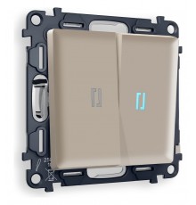 Выключатель двухклавишный с подсветкой без рамки Ambrella Volt MA364020 Quant