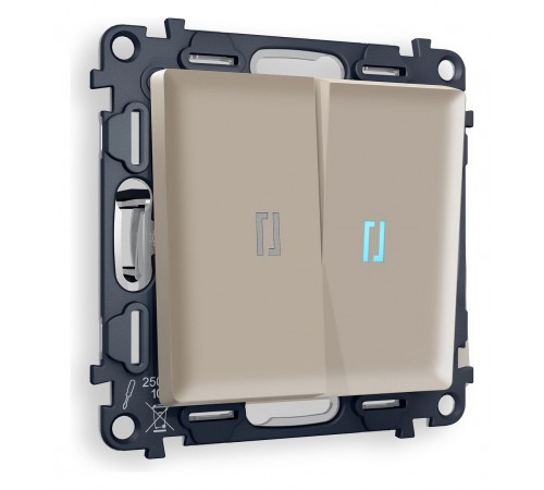 Выключатель двухклавишный с подсветкой без рамки Ambrella Volt MA364020 Quant
