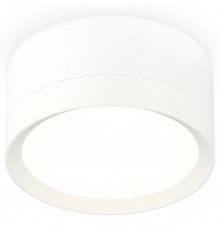 Накладной светильник Ambrella Light XS8101001 XS