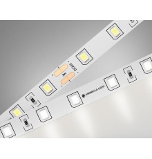 Лента светодиодная Ambrella Light GS3002 GS