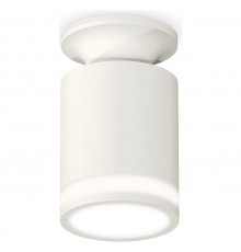 Накладной светильник Ambrella Light XS6301106 XS