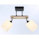 Светильник на штанге Ambrella Light TR9503 TR