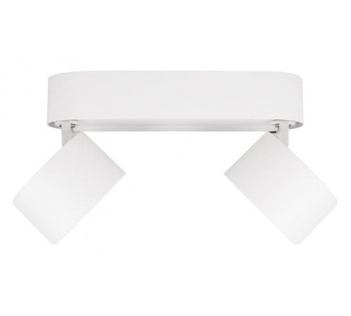 Спот Loft it 10323/2A White Focus