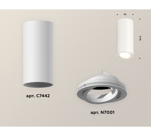 Накладной светильник Ambrella Light XS7442001 XS