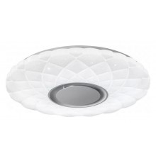 Накладной светильник iLedex ZN-XU48XD-GSR-YK Sphere