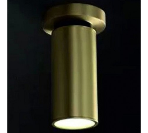 Спот iLamp 8861C BR-BK Plum