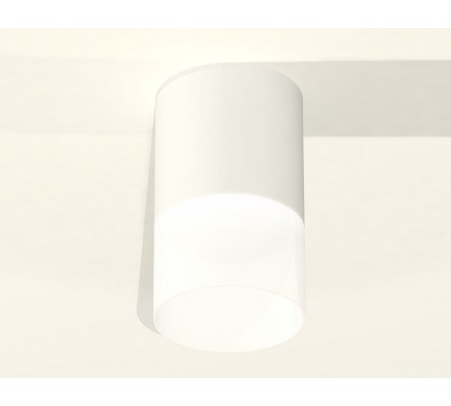 Накладной светильник Ambrella Light XS6301065 XS