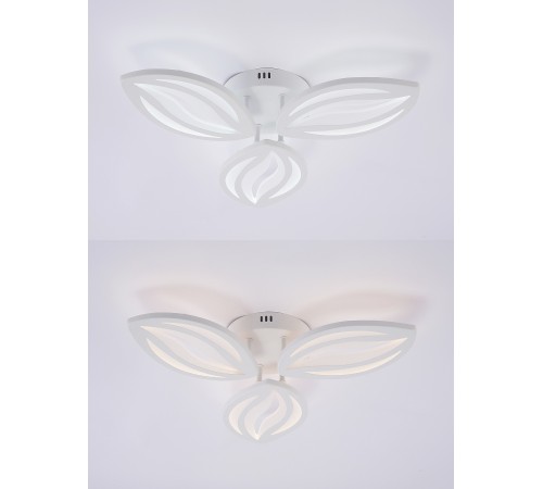 Потолочная люстра Natali Kovaltseva LED LAMPS 81456 SM