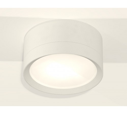 Накладной светильник Ambrella Light XS8101001 XS