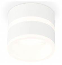 Накладной светильник Ambrella Light XS8101019 XS