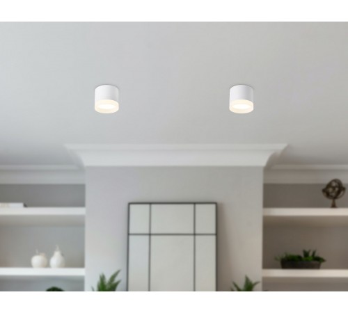 Накладной светильник Ambrella Light TN5365 TN