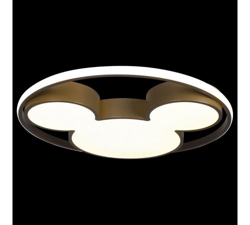 Накладной светильник Loft it 10168 Mike