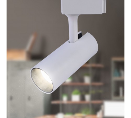 Светильник на штанге Эра TR5-20 COB WH