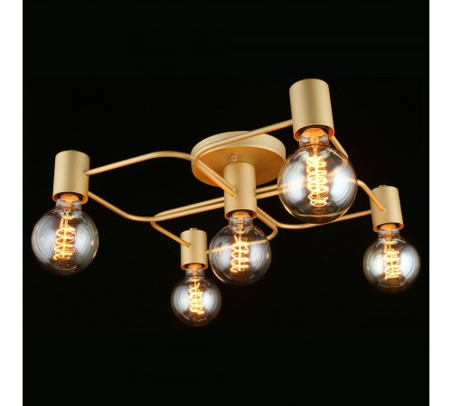 Потолочная люстра Aployt APL.911.07.05 Elison