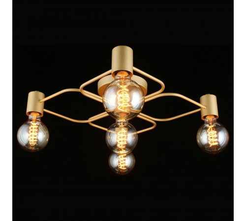 Потолочная люстра Aployt APL.911.07.05 Elison