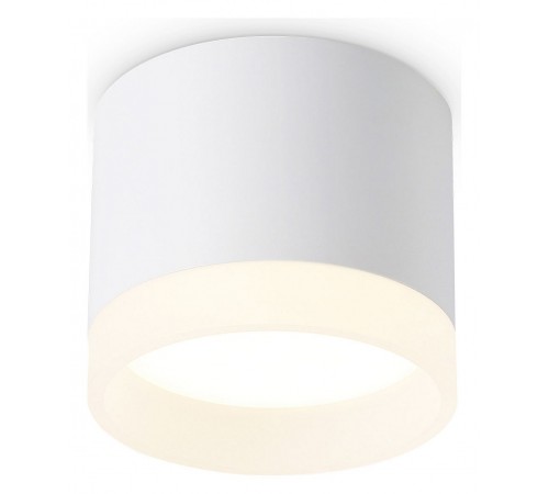 Накладной светильник Ambrella Light TN5365 TN