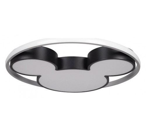 Накладной светильник Loft it 10166 Mike